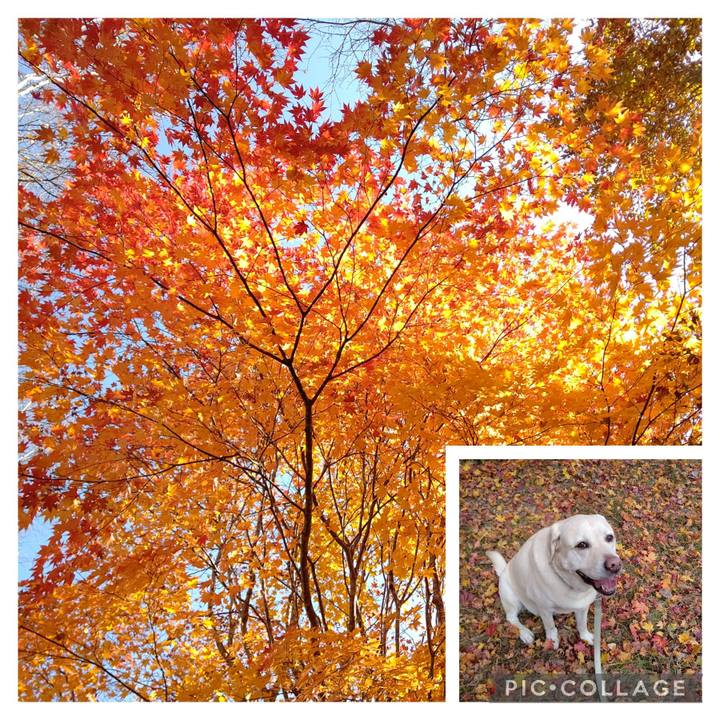 F997b70d ac86 45ba ab9e 4aeab4b979a8 1698375477609