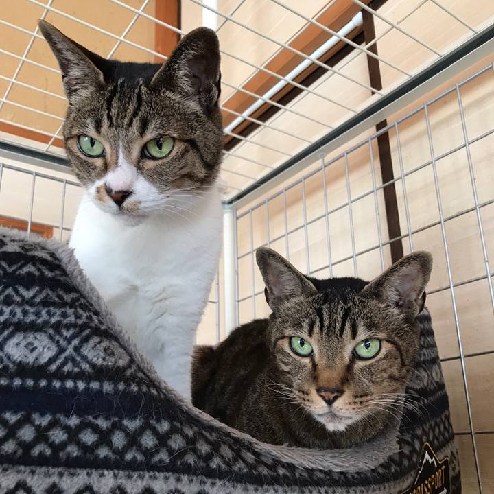 F997dbb8 f107 4401 8c7e 4b41b496f961 1524446775901