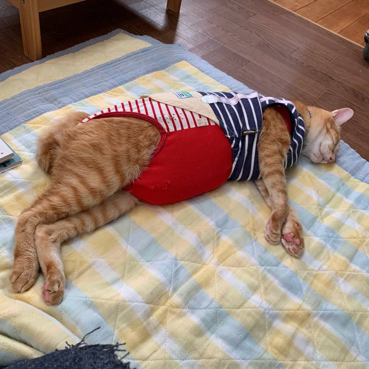 F997e40d fdc4 447b ab69 e511bb05ea97 1600757750200