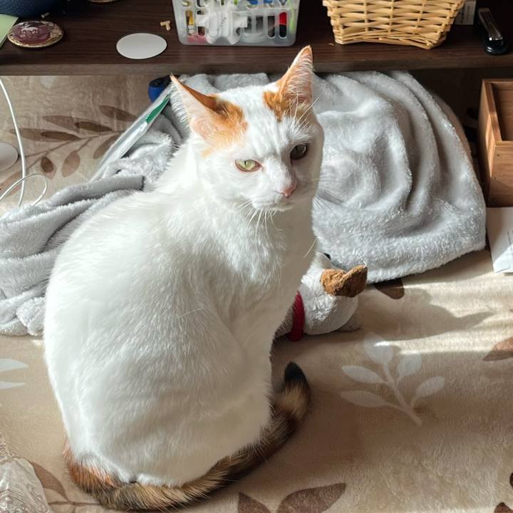 F99843c8 537b 4f2c 9326 6f820dc7fc40 1767304699787