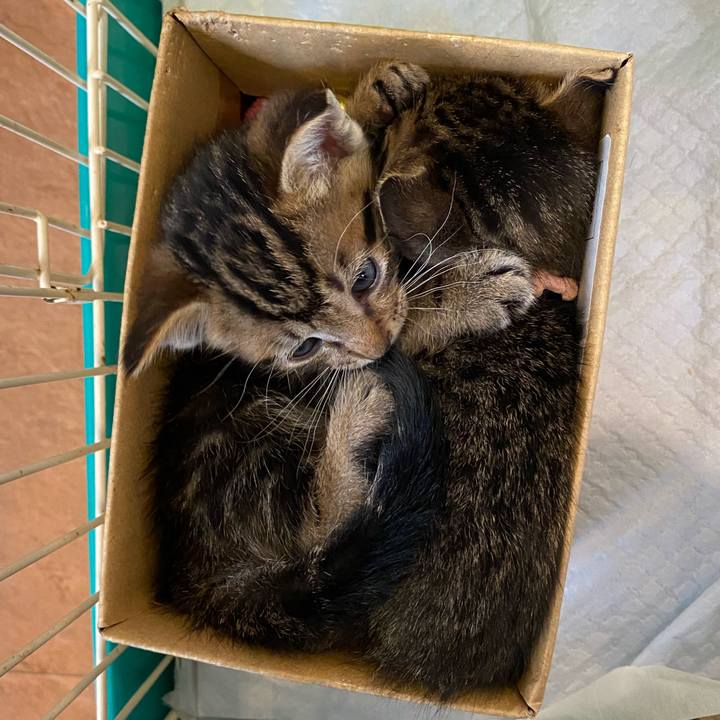 F9989946 c51f 4cf4 8f2c d82d6657a868 1616303690658