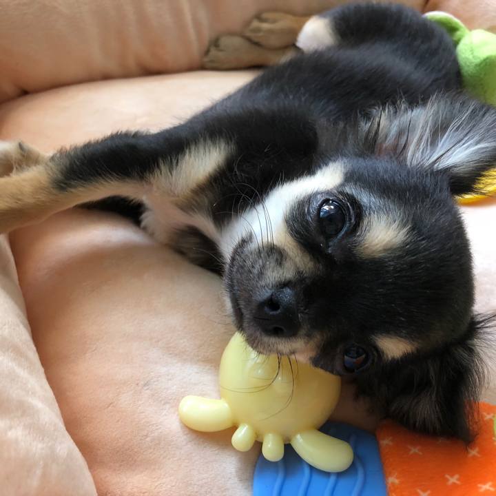 F998af73 d4e4 4b03 8b8a 1c236adace07 1537357194687