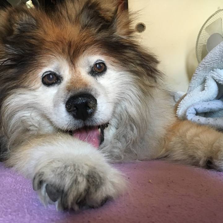 F998c92c 2d75 4234 965b 11173ca57e73 1602225422112