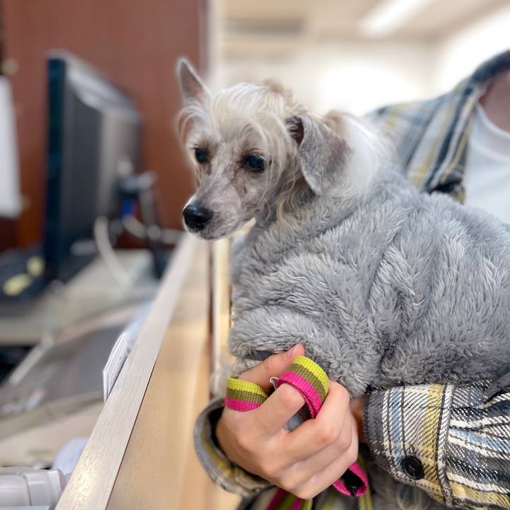 F998fbe8 dbce 49e4 8cba a39706cd00a7 1766583796252