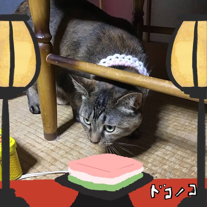 F9990cd0 b3f5 4e7e be8c 77a91e20c62c 1741512604409