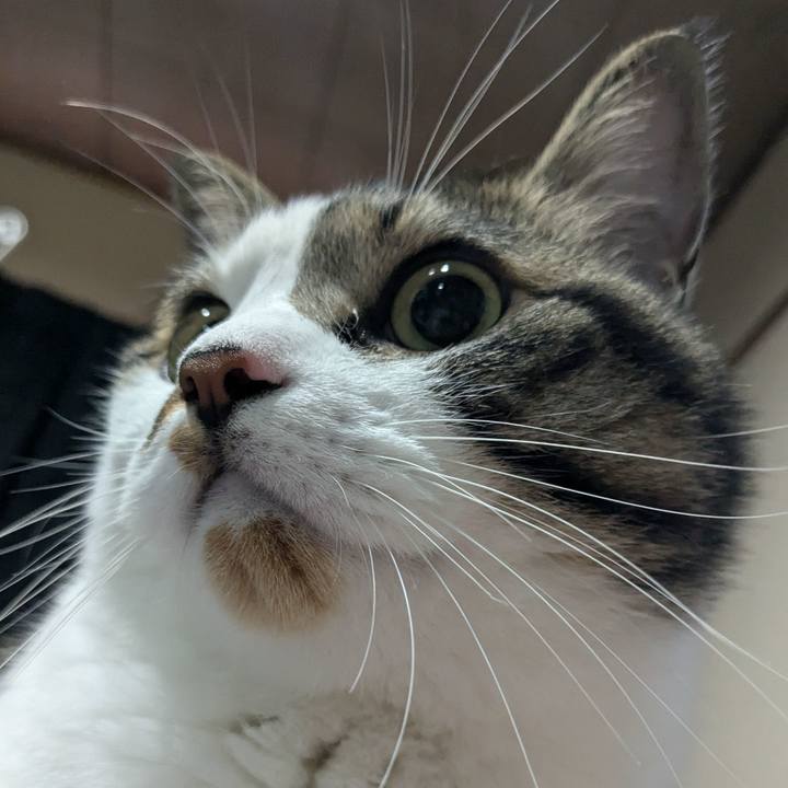 F999c4ec 83bc 4030 9235 f926073cb54b 1719116517237