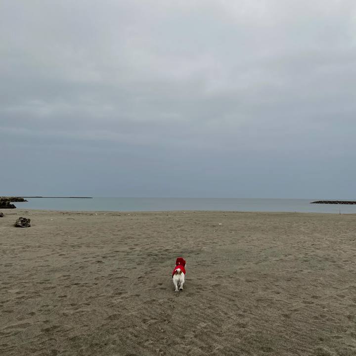 F999c904 0c16 4ed5 8cd1 bc9483020ce7 1614641581143