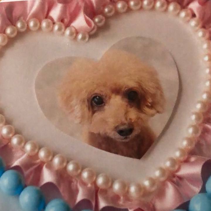 F999cc35 ddb2 4b2a 9562 85b10e0a564a 1580615754665