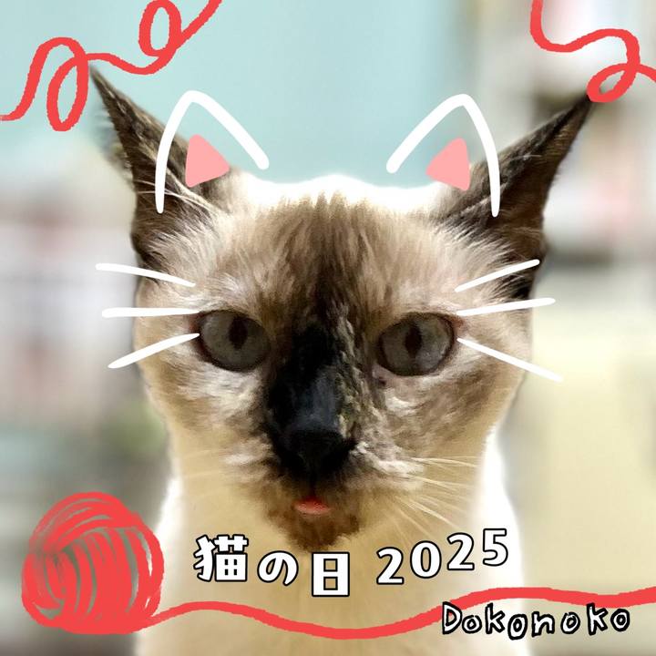 F999ed0f 1bb4 410c 9489 9370a9227e3e 1740201014316