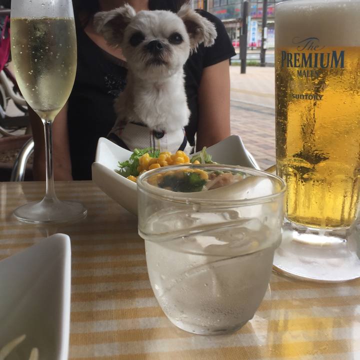 F99a00ab 8872 4007 bcbe 2823f6ec2b48 1568431378929