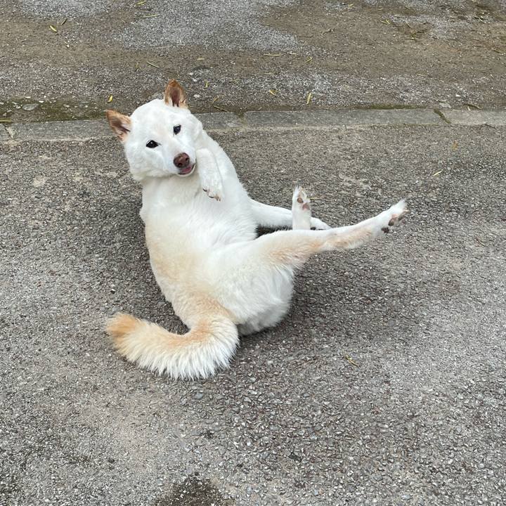 F99a0cb4 2c6e 4eda a654 abd4341ec338 1652614047785