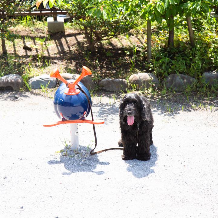 F99a4b5c 03ba 4130 b930 48e5a748742d 1557034675598