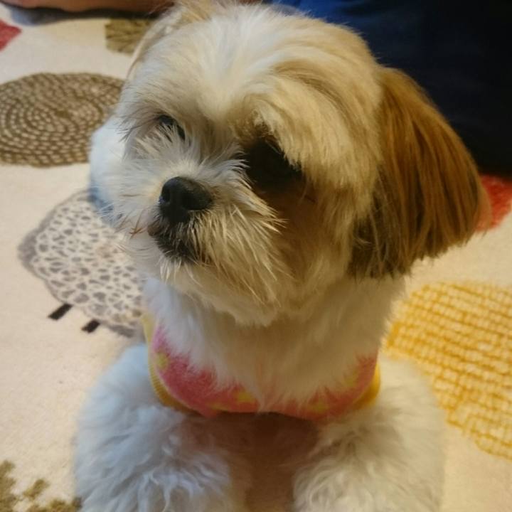 F99a4d81 b923 4208 bd2b ab6765559062 1507935631621