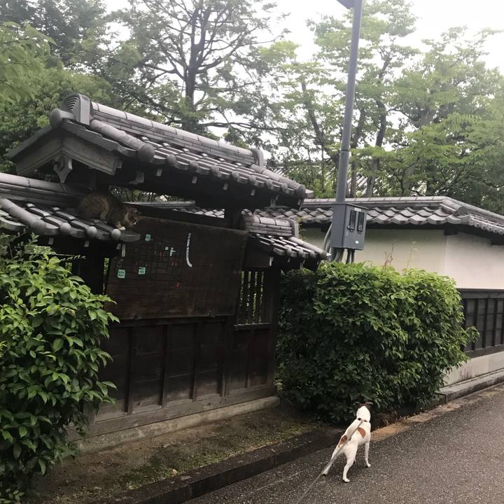 F99acb70 cb74 4420 993f e4bd83037bd1 1528635621598