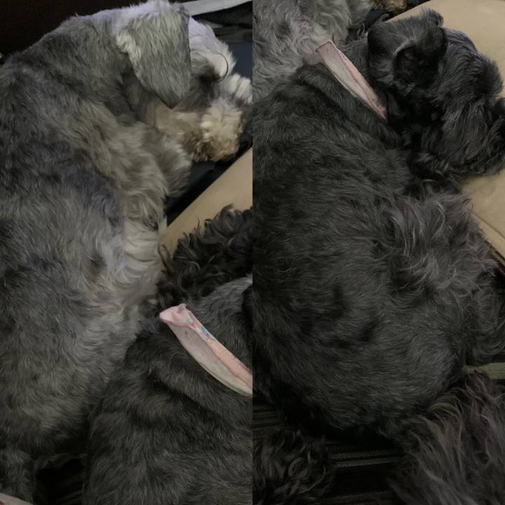 F99af577 c173 4a52 902e 1e538fd34025 1619935915952