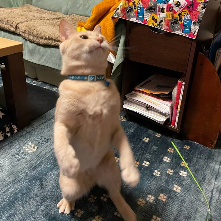 F99b060f 5dc4 401b aca3 d116ce88a5e0 1618399051338