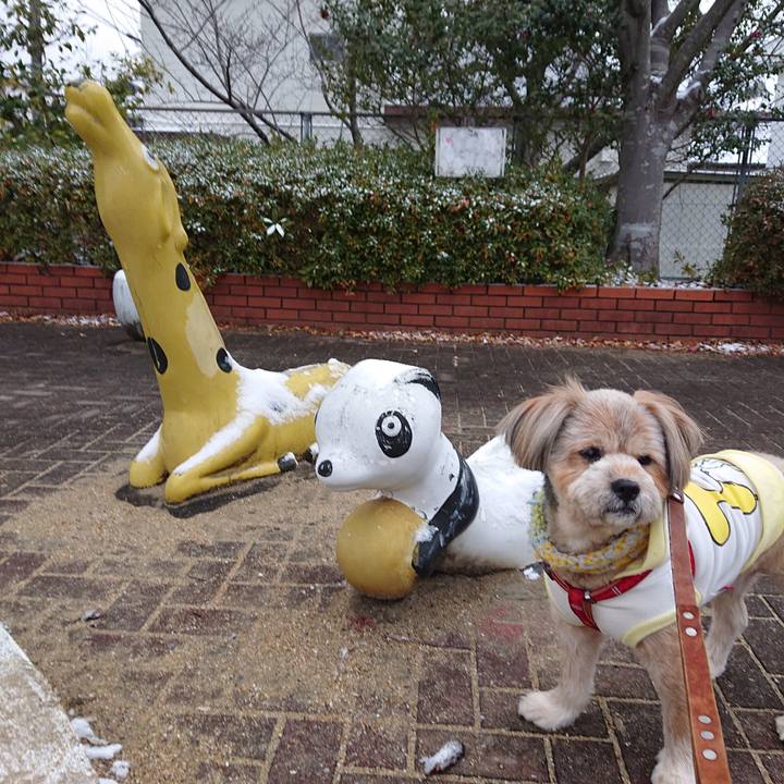 F99b1b8b 12af 4f6e b29c d9d55df89776 1610006655815