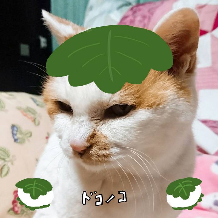 F99b2aaf 0c99 4db7 b53f cf18afbbd2bf 1749307841144