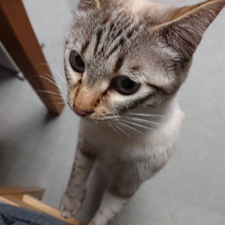 F99b32d4 f69d 49f2 9022 158bc748d5ab 1520652897243