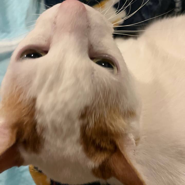 F99b51ef d968 4038 9ad1 2f8e5f1ca3f6 1770811929602