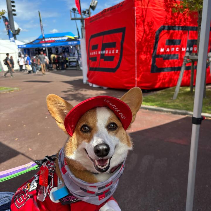 F99b8ba4 59de 43f0 8dc6 14b999cc4cdf 1758864448890