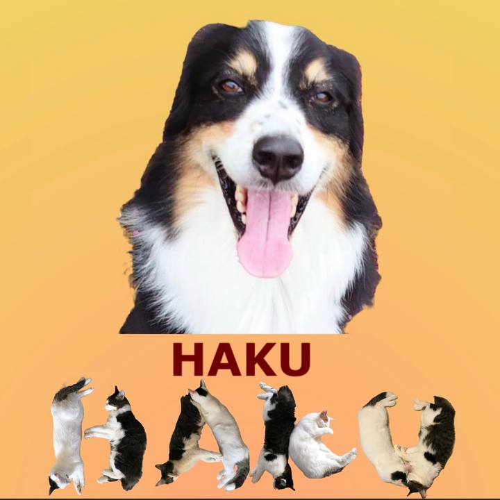 F99bc9a6 f7d8 4eaf a430 e6c52af5ae86 1669274080419