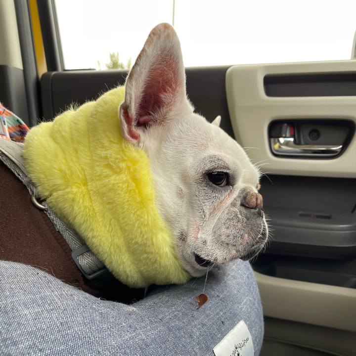 F99bd641 3151 45e1 b628 5750e93c4d5b 1770455298613