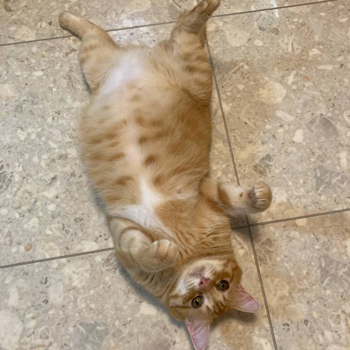 F99beb36 9c4e 4d9b bf3a 90722a372356 1758452418889