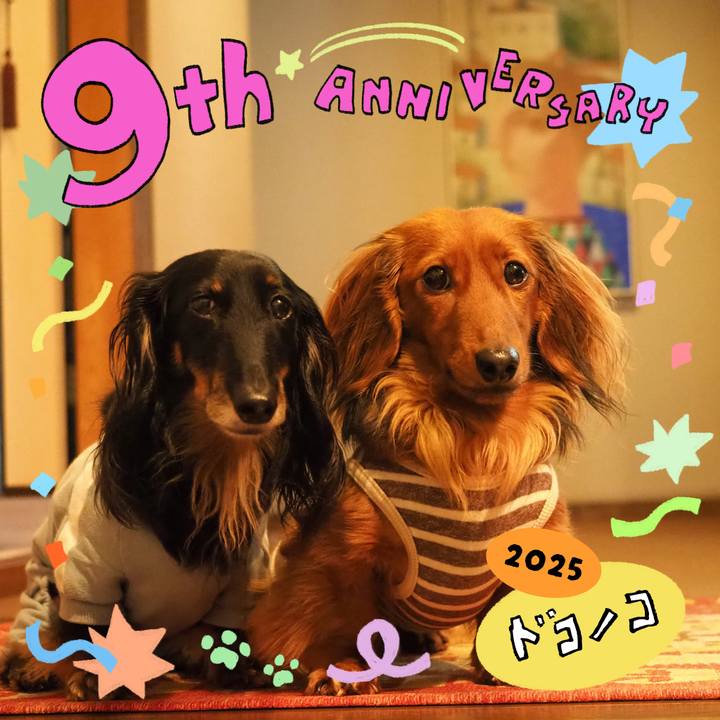 F99bf161 f6bf 4dd8 9416 72f0590d03fa 1749277782468