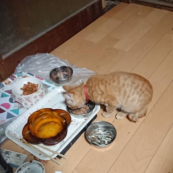 F99c04de 14df 4d5b 89b0 262ca3d668c7 1633639141992