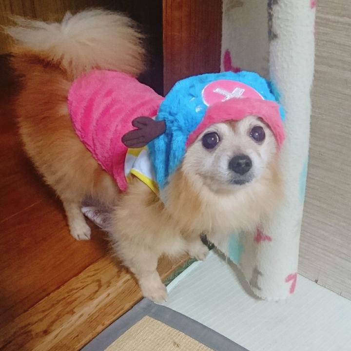 F99c0ef0 b5df 4157 8a2b 35708cb296c5 1547593100136