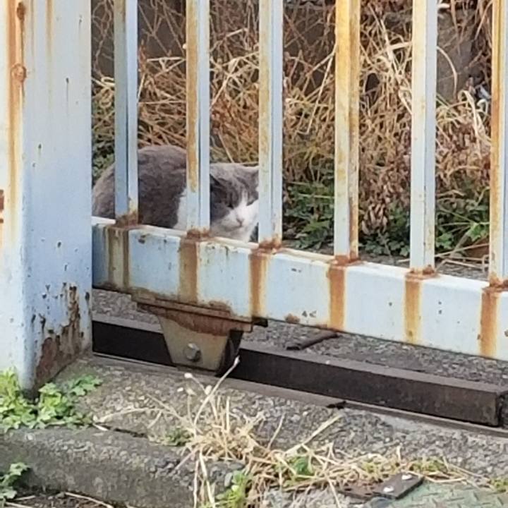 F99c284c 0a6d 4175 8102 355afe4463ea 1615327857675