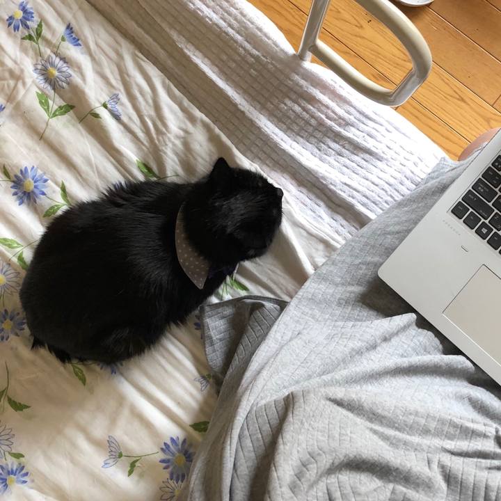 F99c28cb 4f6a 4486 aeb5 b1182c36d517 1573439565826