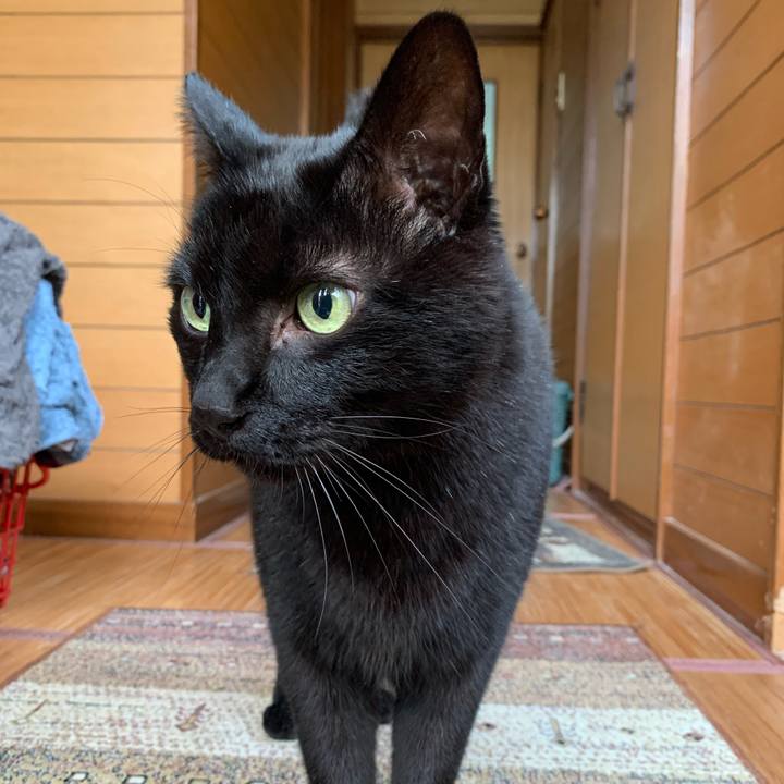 F99c3ffc a2bd 46f0 8c0d 11fc68422d5f 1585702684801