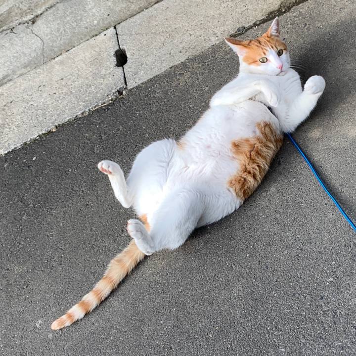 F99c66e4 c795 46eb a9c3 8f178acb6718 1577506220062