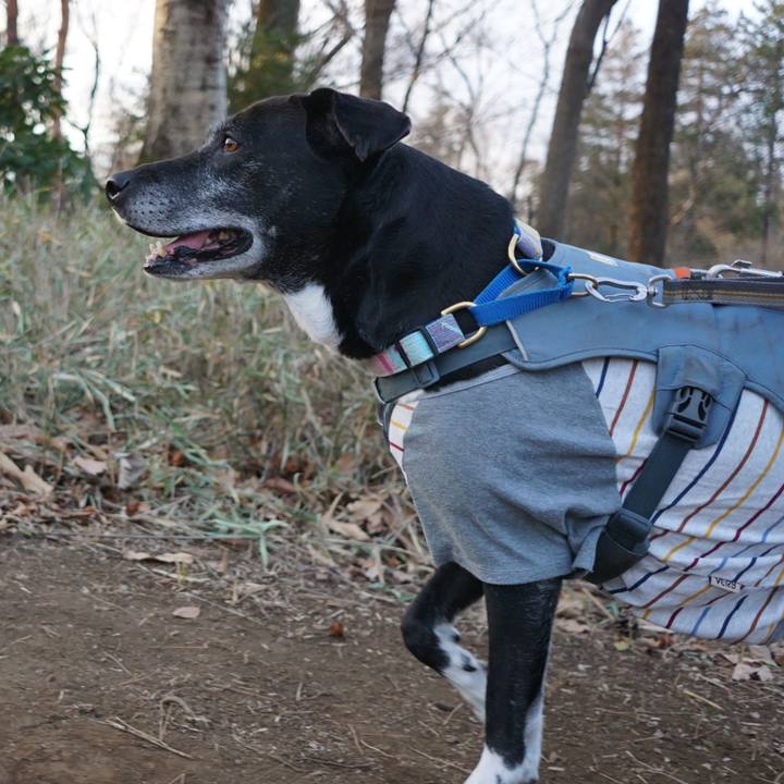 F99c7dcf eec8 4b1b 95cb 83bda3af21d4 1768783950886