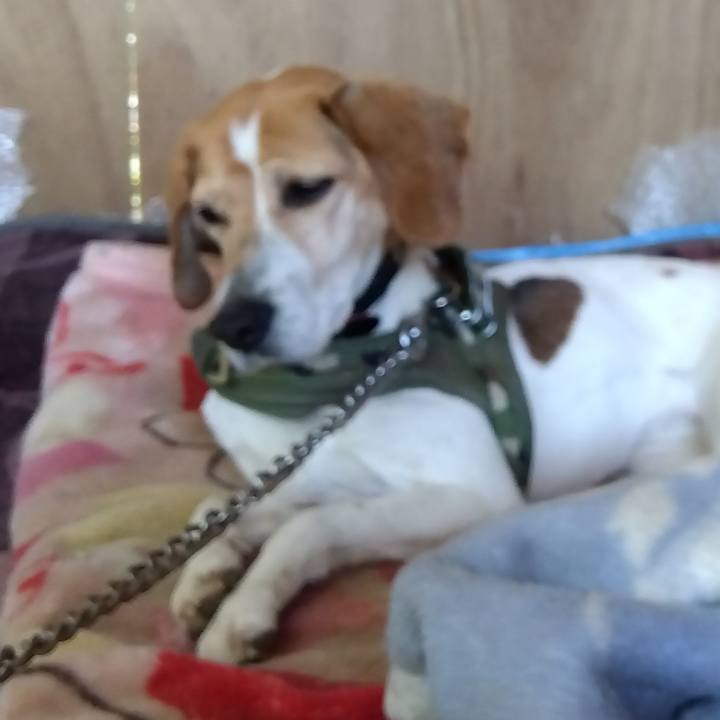 F99caef2 bc40 46f4 ade3 e693a67cb49b 1682917577649