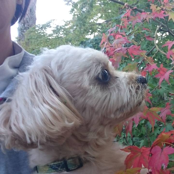 F99ce39a 4518 46b2 8adf 3472a7d0b494 1571125389081