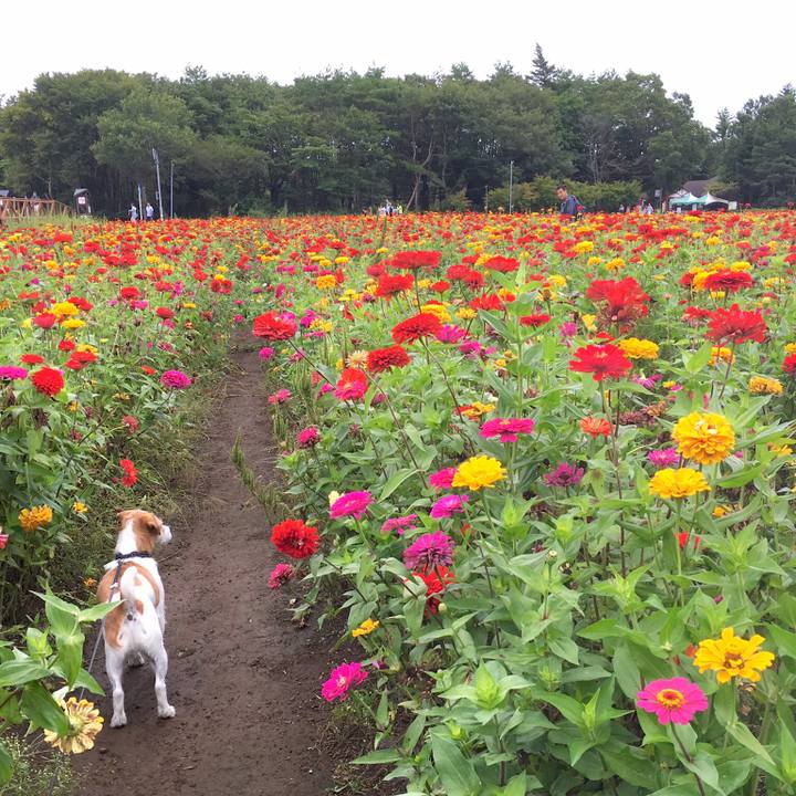 F99d49f8 77a3 43a7 9027 b80b5c0da83b 1568361010232