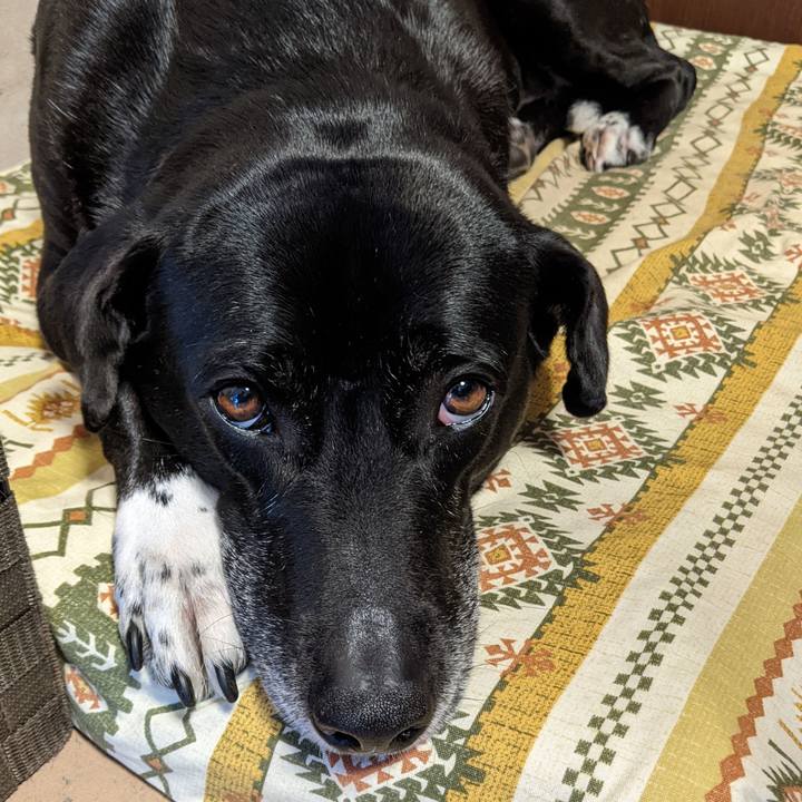 F99d5424 d5e2 4add b265 77f0836b15f8 1682729678462