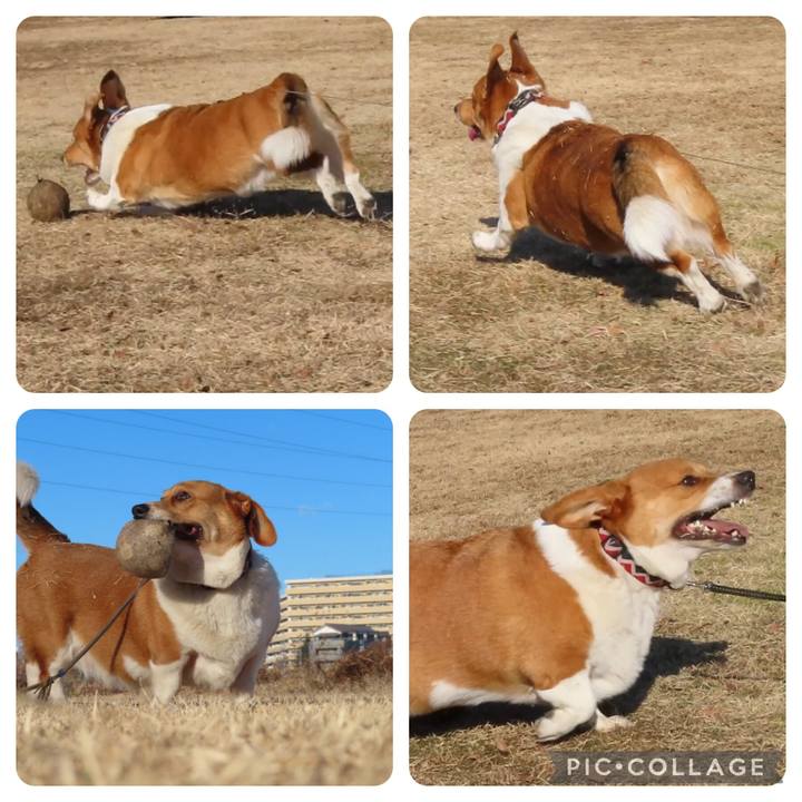 F99d86e7 1f61 4981 aed9 9f56c7872f2f 1674090708936