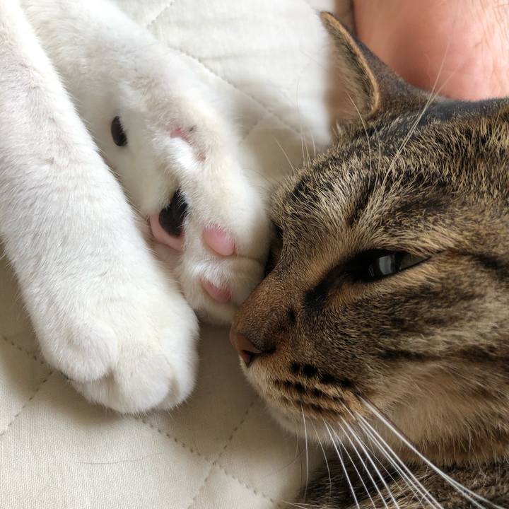 F99d884e cca0 45e8 bfbd 6e3703420178 1626533199795