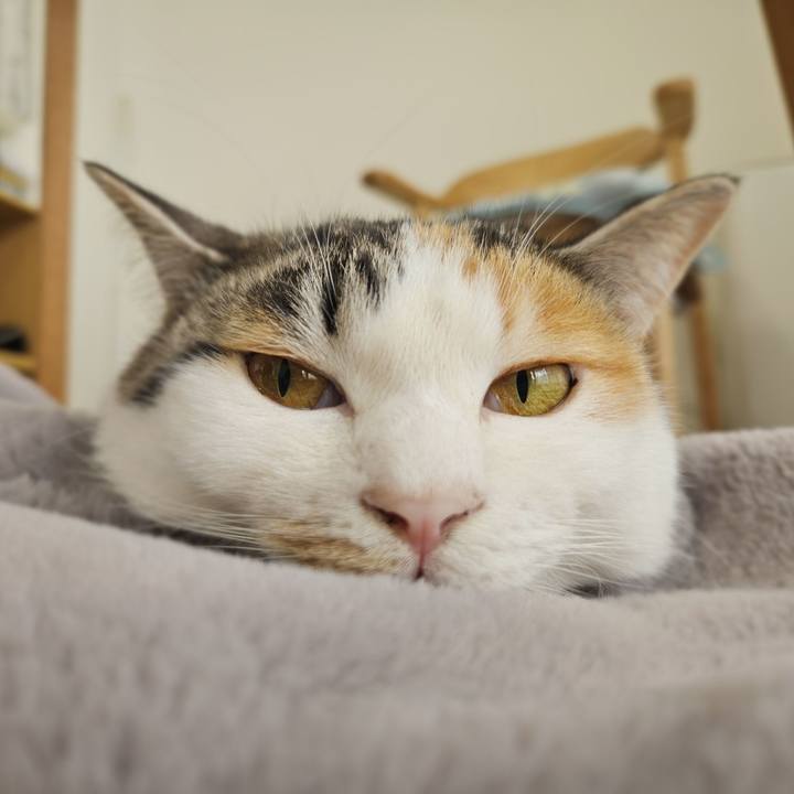 F99d8a46 ce65 492d 9375 4fc14ec9ea11 1770632743386