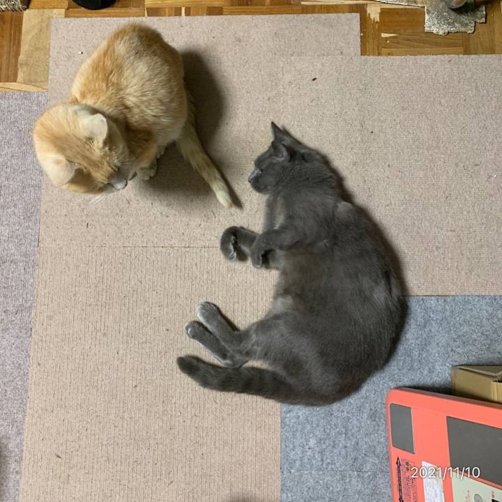 F99d8b2f 341f 46c2 93cb 8681c2cfc0ce 1636547083247