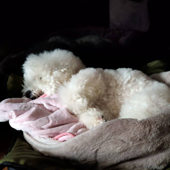 F99d9dc4 4764 498e aec4 45f0f93363ca 1769323870649