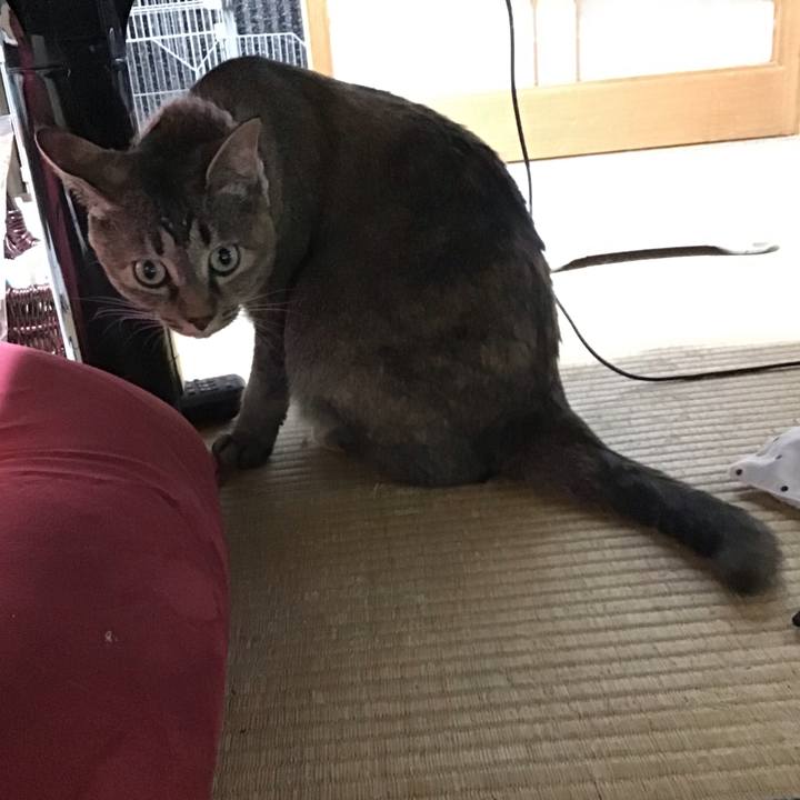 F99db23d 278e 4018 90da 9be3a6fb021b 1657368581107