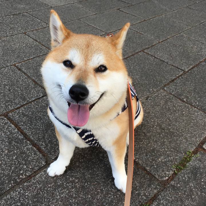 F99dc9c0 c1dc 44a2 9f64 56fc8f839c9b 1556428587384