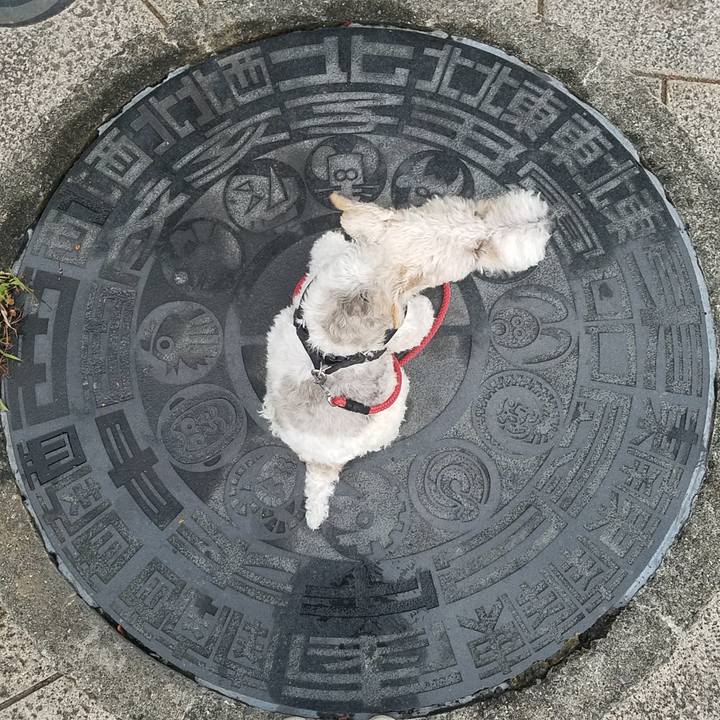 F99dcdec 664c 452a 835d 53e271abf423 1569073468910