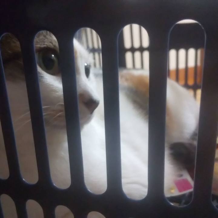 F99deb83 c309 4fb1 95cd 8291a7820437 1725719886260