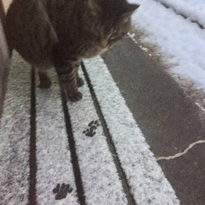 F99e0883 2633 496d b859 007cfcd7d359 1516699771843